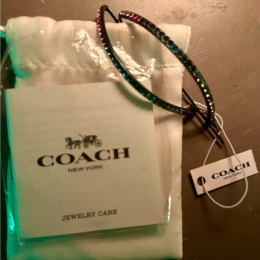 COPY - Coach Rainbow Earrings - Picture 3 of 3